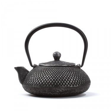 Chinese cast iron teapot - 'Steppes'  0,4 L - silver polished