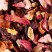 Fruit Infusion - 'Carcadet Provence', box of 24 enveloped Cristal® sachets