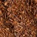 Rooibos Cederberg, box of 24 enveloped Cristal® sachets