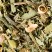 Tisane du Berger, 24 sachets Cristal® enveloppés