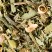 Herbal tea - Tisane du Berger, box of 24 enveloped Cristal® sachets