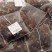 Samba, 24 sachets Cristal® enveloppés