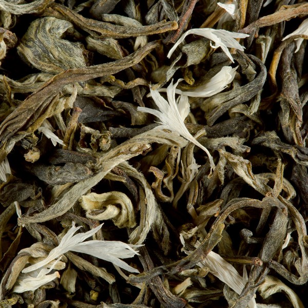 White tea - BLANC MYRTILLE