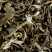 White tea - BLANC MYRTILLE