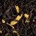 Pomme d'Amour, box of 24 enveloped Cristal® sachets