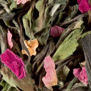 White tea - Pêchers en fleurs