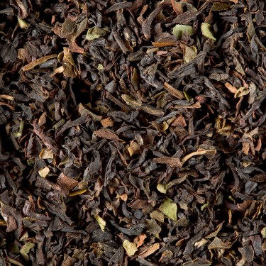 find your tea sensation - plain - dammann frères