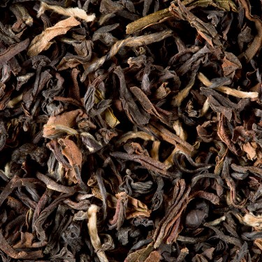 find your tea sensation - plain - dammann frères
