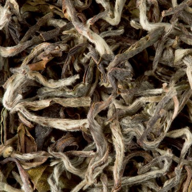 Tea from Nepal - Himalaya Shangri-La