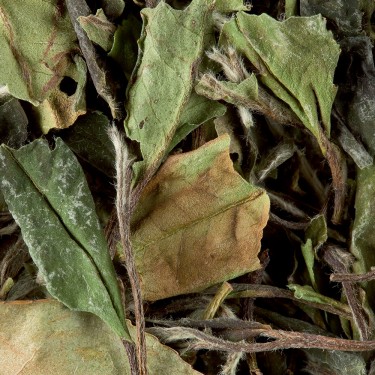 Tea from China - Paï Mu Tan