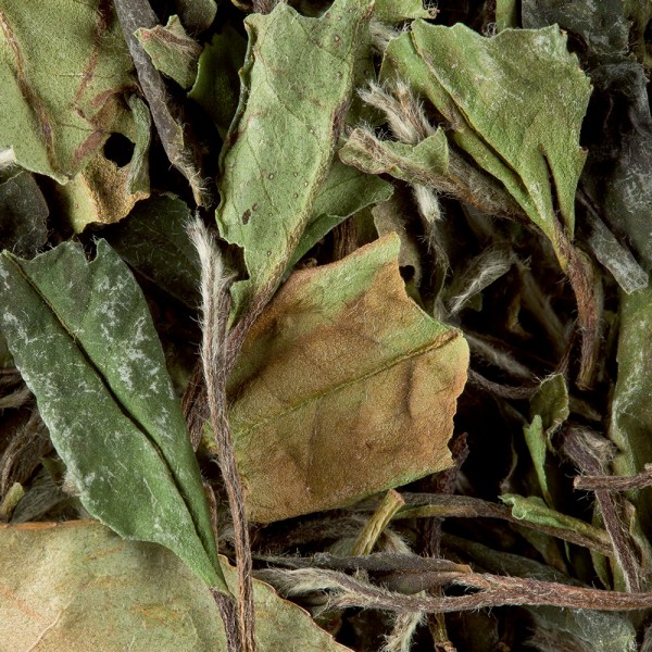 Tea from China - Paï Mu Tan