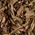 Thé du Japon - Houjicha