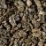 Tea from China - Gunpowder