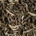 Tea from China - Yunnan Vert