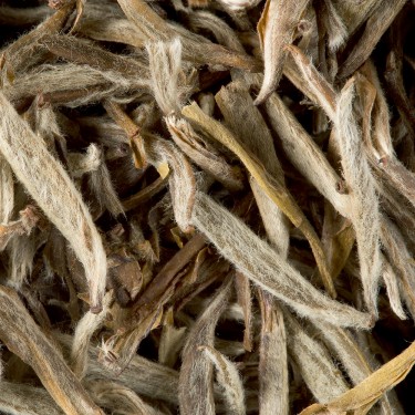 Tea from China - Jasmin Yin Zhen