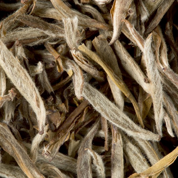 Tea from China - Jasmin Yin Zhen
