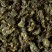 Tea from China - Osmanthe d'Or