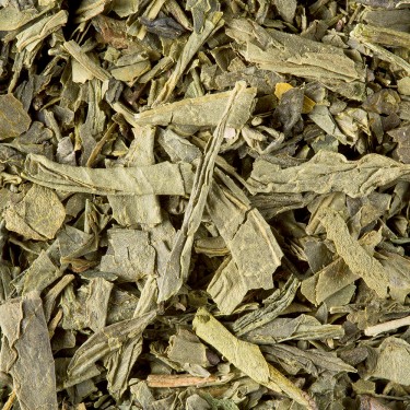 Thé de Chine - Sencha de Chine