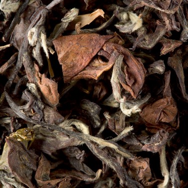 Tea from Taiwan - Oriental Beauty Tea from Taiwan - Oriental Beauty