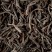 Tea from Sri Lanka - Ceylon O.P. Superieur