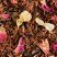 Rooibos Bali