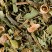Herbal tea - Tisane du Berger