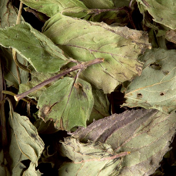 Herbal tea - Menthe poivrée