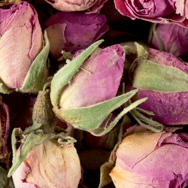 Herbal tea - Rose buds