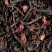 Thé Noir - 4, 5, 6 , cueillir des cerises