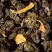 Thé Oolong - Oolong Caramel au Beurre salé