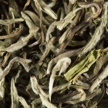 Tea from India - Darjeeling 1st Flush 2017 BADAMTAM F.T.G.F.O.P. Tea from India - Darjeeling 1st Flush 2017 BADAMTAM F.T.G.F.O.P.