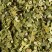 Green Mate