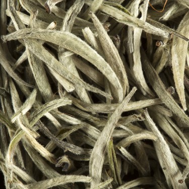 Thé de Ceylan - Silver buds
