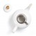Porcelain teapot - CONCORDE - 1L - Golden border