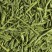 BRUME DE MATCHA, étui 50g