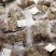 BTE 24 SACHETS SUREMB TISANE DU ROY