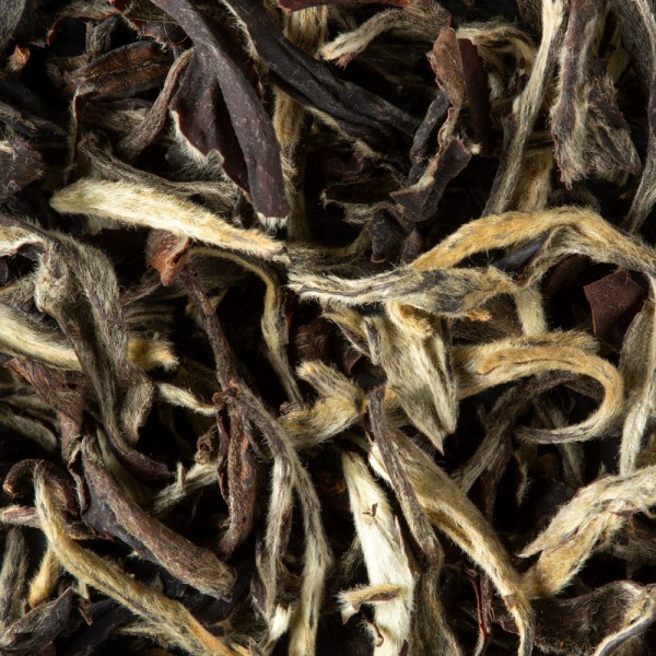 Tea from India - DARJEELING OOLONG PHUGURI