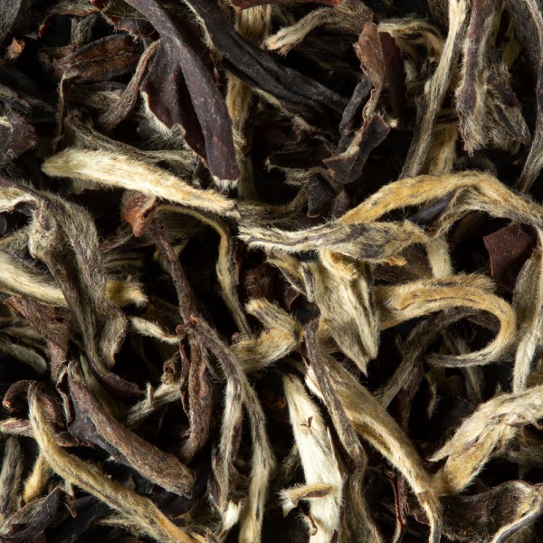 Thé d'Inde - DARJEELING OOLONG PHUGURI 