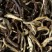 Thé d'Inde - DARJEELING OOLONG PHUGURI 