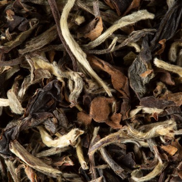 find your tea sensation - plain - dammann frères