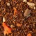 ROOIBOS CARROT CAKE