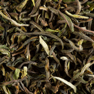 Tea from India - Darjeeling 1st flush 2019 PHUGURI S.F.T.G.F.O.P