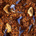 Rooibos Rhubarbe-Coco
