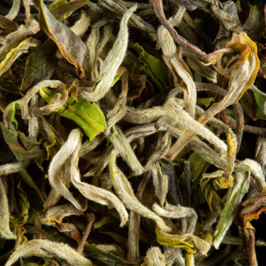 Tea from India - Darjeeling 1st Flush 2019 PHUGURI MOONLIGHT F.T.G.F.O.P. Tea from India - Darjeeling 1st Flush 2019 PHUGURI MOONLIGHT F.T.G.F.O.P.