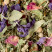 Herbal tea - TISANE DES MERVEILLES, box of 24 enveloped Cristal® sachets