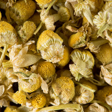 Herbal tea - Chamomile