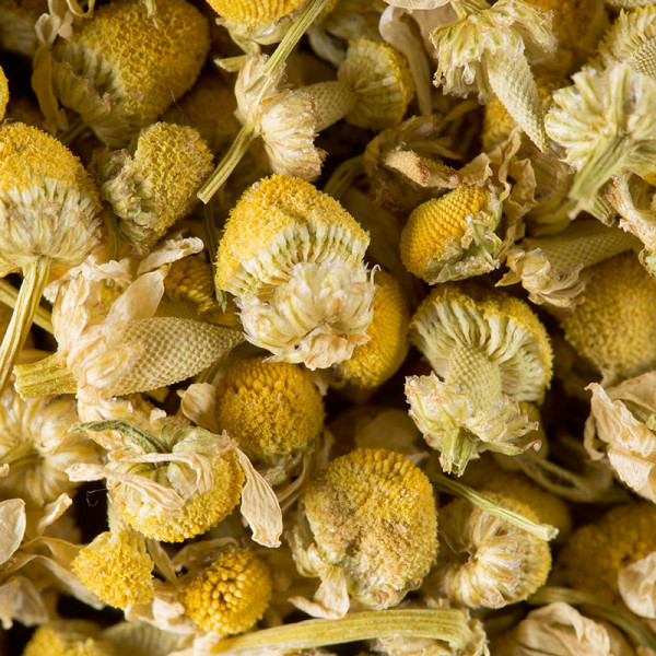 Herbal tea - Camomille