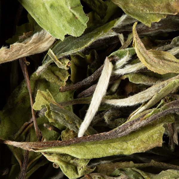 Tea from China - Paï Mu Tan Prenium