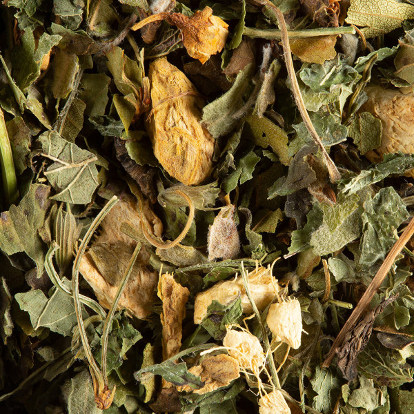 Herbal tea - Magic Ginger