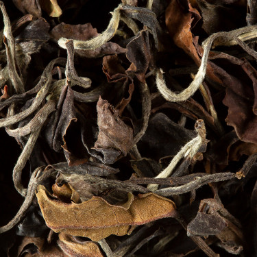 White tea - TORO BLANCO